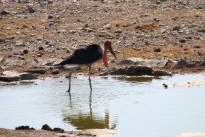 Another one off Tim's list